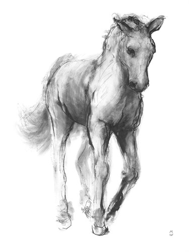 Equine Sketch - Gait - Manny Woodard
