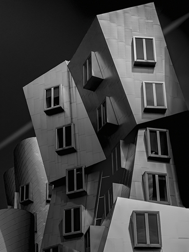 Crooked Construction - Ash Camas