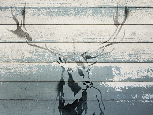 Panel Portrait - Stag - Ingrid Muskovy