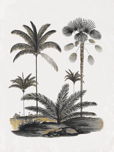 Exotic Terrain - Orbignia - The Drammis Collection