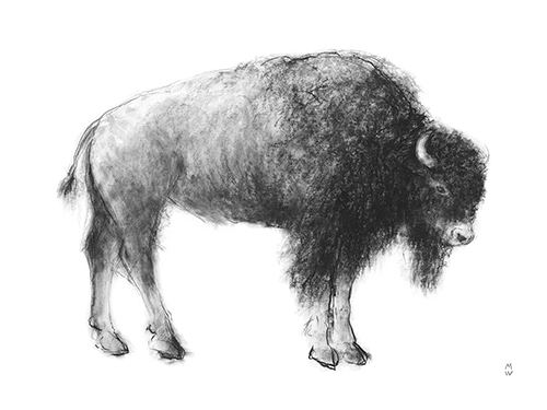 Wild Sketch - Wait - Manny Woodard