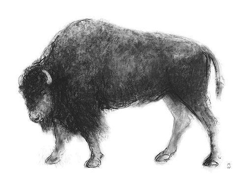 Wild Sketch - Watch - Manny Woodard