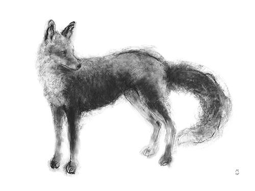 Wild Sketch - Look - Manny Woodard