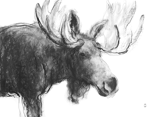 Wild Sketch - Pause - Manny Woodard