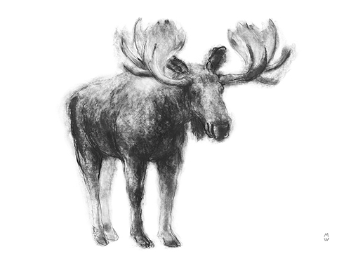 Wild Sketch - Stance - Manny Woodard