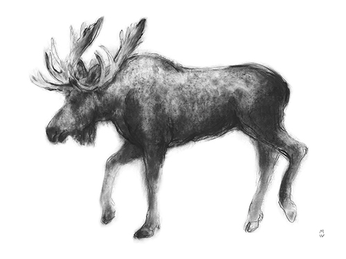 Wild Sketch - Roam - Manny Woodard