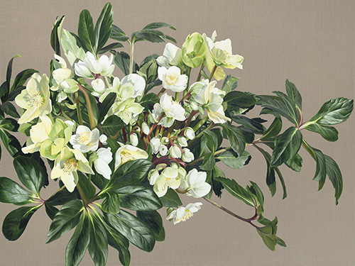 In Winter, You Flourish - Sarah Caswell