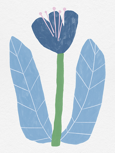 Folk Botanic - Blossom - Kristine Hegre