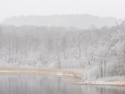 Riverside Reflection - Frost - Mikael Svensson