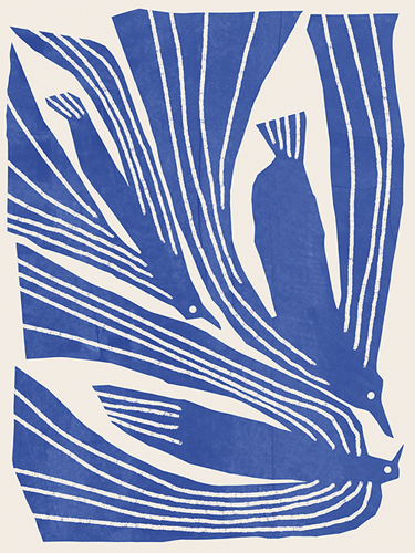 Avian Abstraction - Flock - Chloe Watts