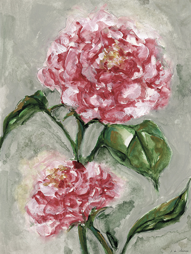 Peony in Bloom - Grow - S.  de Armas