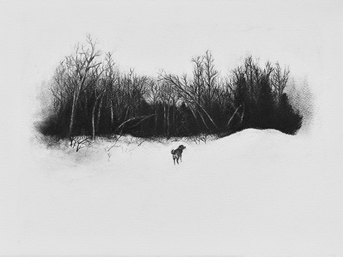 Parc Pierre Fournelle I - Tiffany  Moore