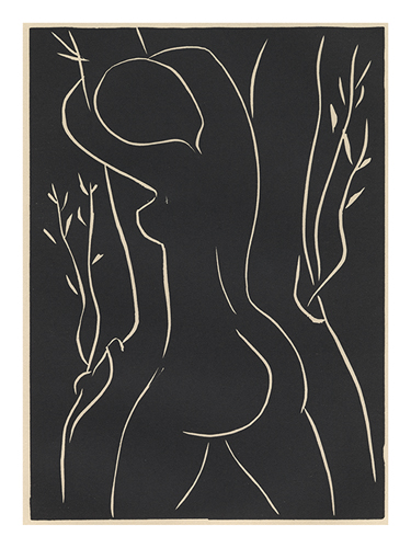 Pasiphae and Olive Tree - Henri Matisse