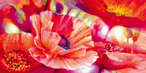 Poppy Homage - Nick Vivian