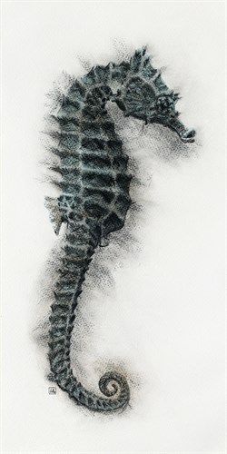 Seahorse I - Hilary Armstrong