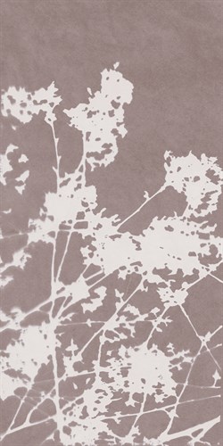 Ramble in Grey - Sarah Cheyne
