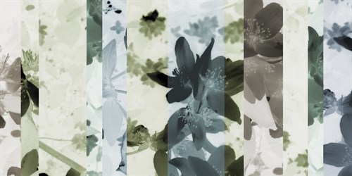 Garden Shift I - Sarah Cheyne