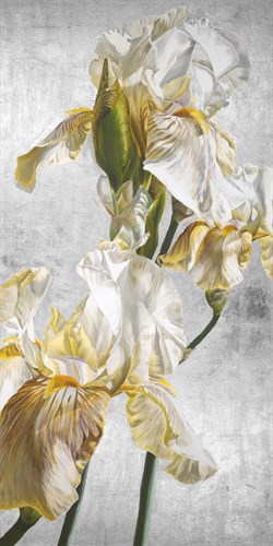 Argent II - Right Detail - Sarah Caswell