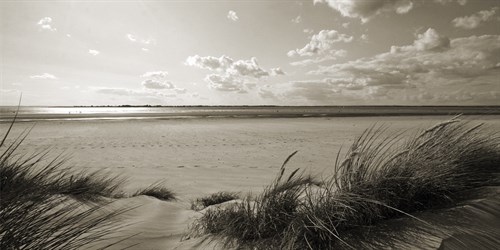 Rolling Dunes II - Ben James