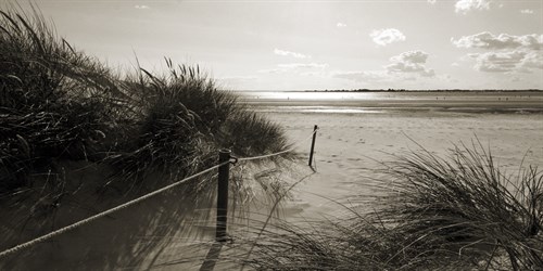 Rolling Dunes III - Ben James
