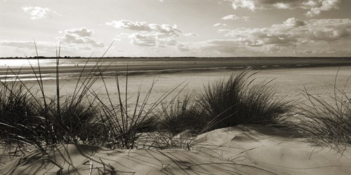 Rolling Dunes IV - Ben James