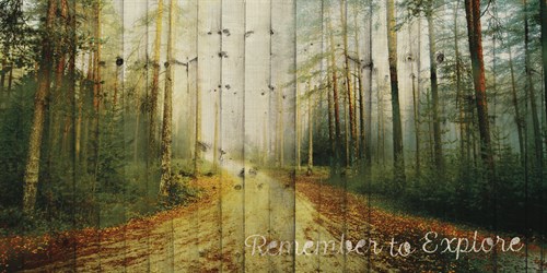 Remember to Explore - Andreas Stridsberg