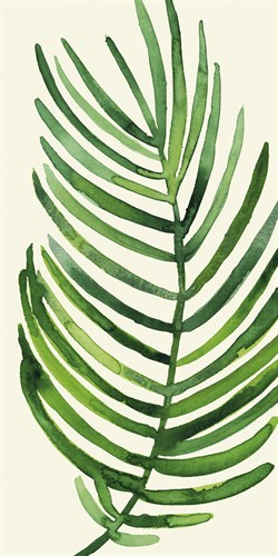 Tropical Palm Leaf IV - Kim Colthurst Johnson
