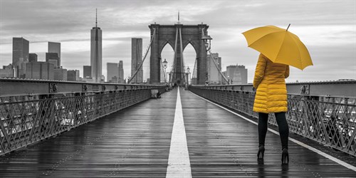Brooklyn Spotlight - Assaf Frank