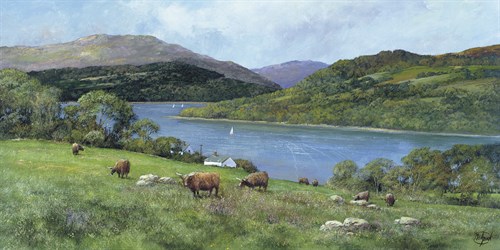 Highland Cattle - Clive Madgwick