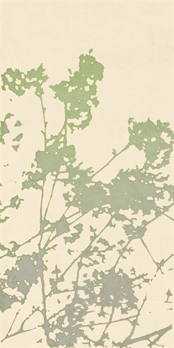 Nature Ramble - Sarah Cheyne