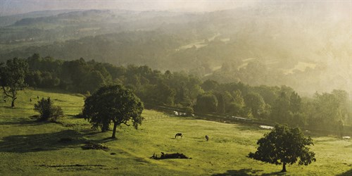 The Ridge - Pete Kelly