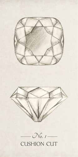 Diamantaire - Cushion - Amy Shaw