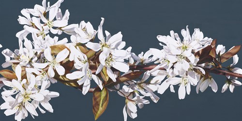 Spring Starlight, All is Well II - Sarah Caswell