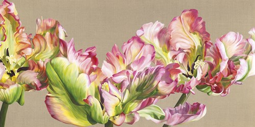 Flock - Sarah Caswell