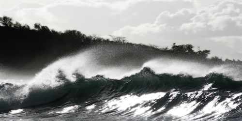 Spindrift Noir - Malcolm Sanders