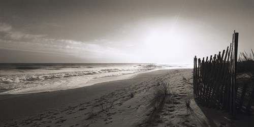 Beach Sunburst - Malcolm Sanders