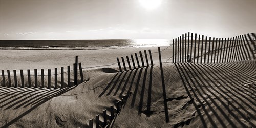 Beach Shadows - Malcolm Sanders