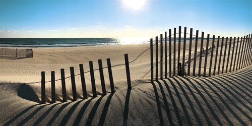 State Park Sun - Malcolm Sanders