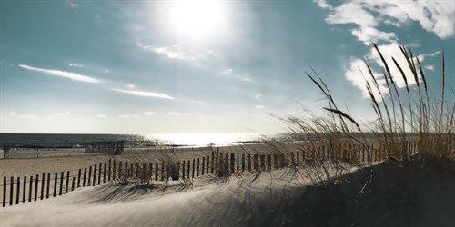 State Park Shadows - Malcolm Sanders