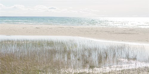 Shoreline Hues - Mike Toy