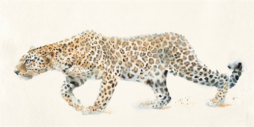 Stealth - Hazel Soan