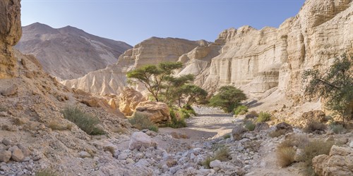 Desert Terrain - Assaf Frank