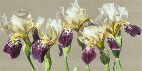 Five - Sarah Caswell