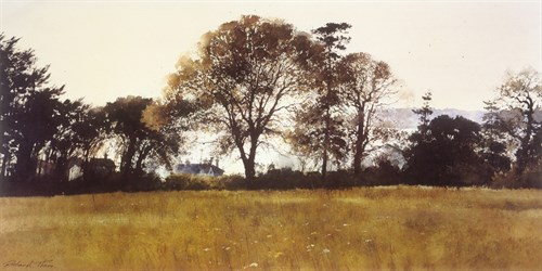 Hilltop Evening - Richard Thorn