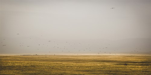 Prairie Perspective - Andrew Geiger