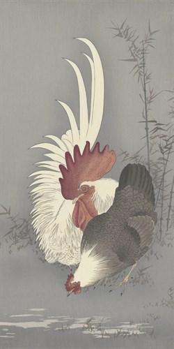 Feathered Duet - Ohara Koson