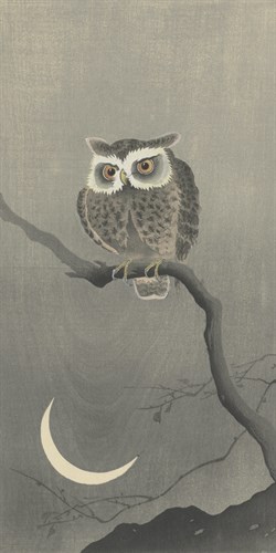Watchful Owl - Ohara Koson