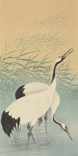 Restful Cranes - Ohara Koson