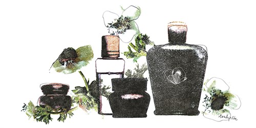 Little Wonders - Eva Hjelte
