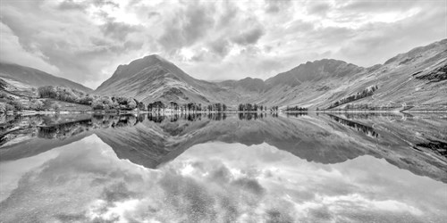 Mirrored Nature - Assaf Frank
